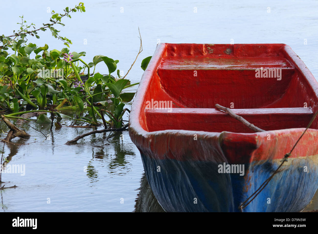 Barca ancorata in Chiriqui fiume nella parte occidentale di Panama (America centrale). Foto Stock