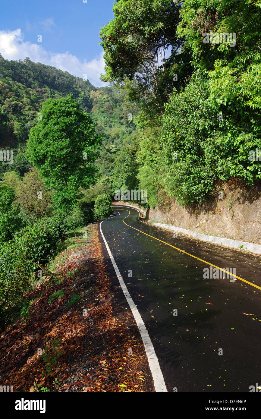 Immagine di una strada dopo la pioggia in Boquete, una cittadina nella parte occidentale di Panama. Foto Stock