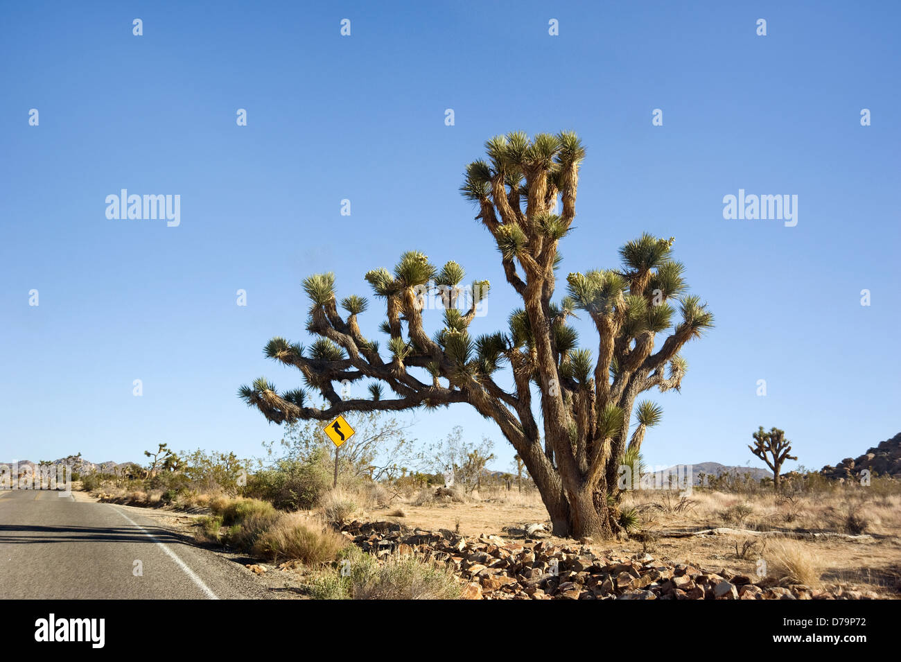 Autostrada del deserto a Joshua Tree National Monument Foto Stock