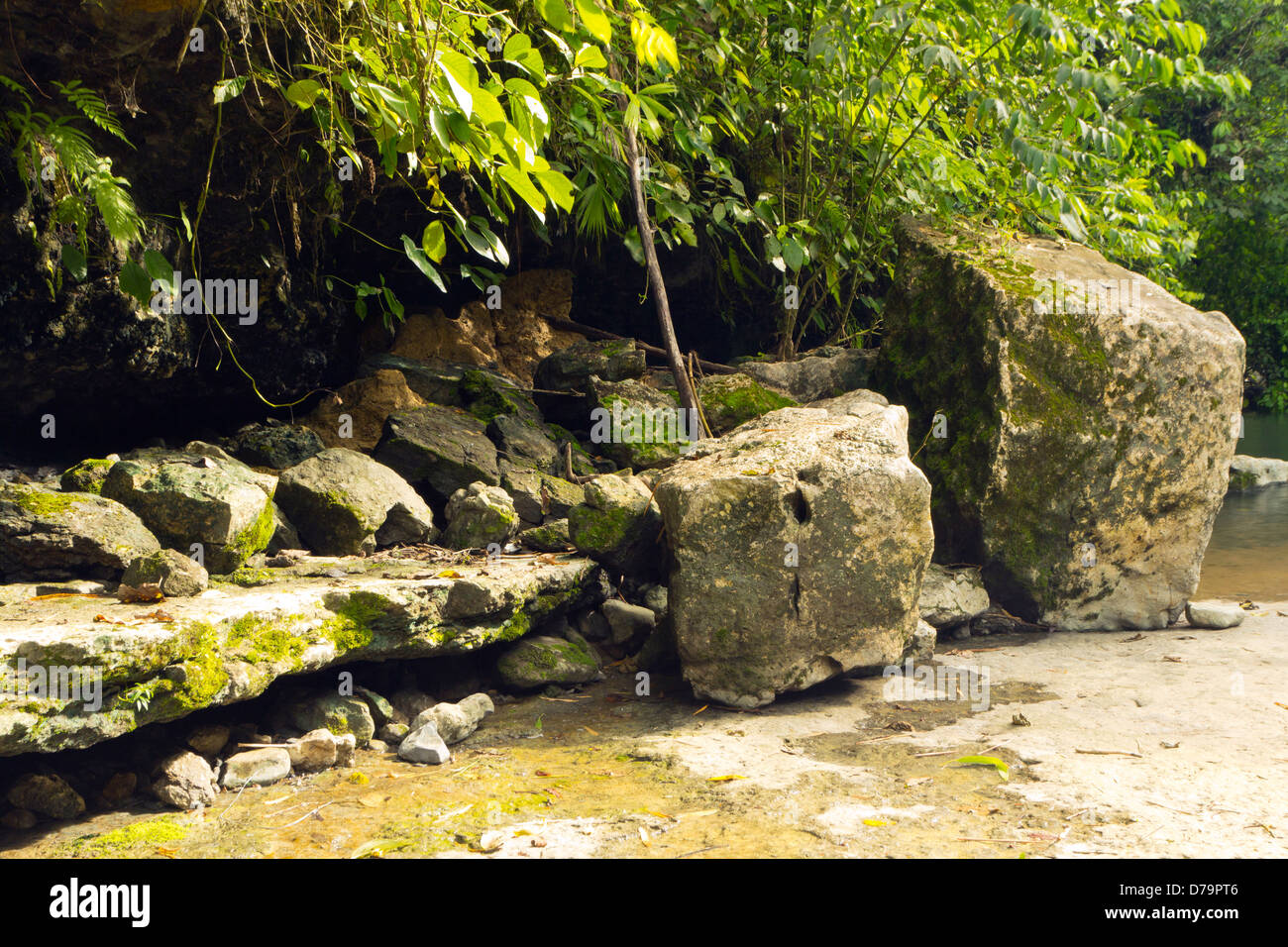 I grandi blocchi di calcare, parte dell'Hollin formazione nella parte orientale dell'Ecuador accanto a un fiume nella foresta pluviale Foto Stock
