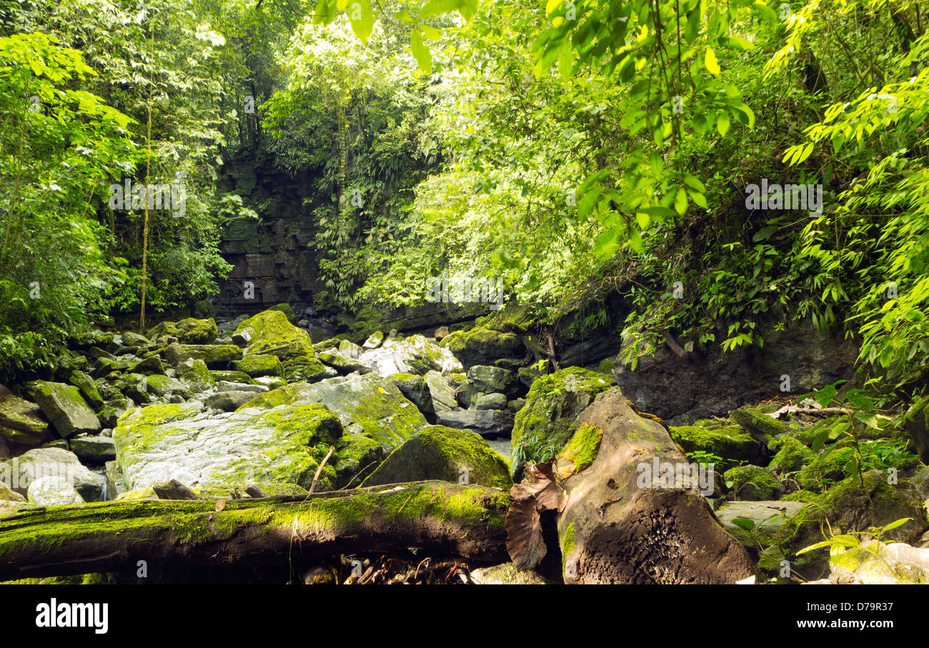 Blocchi di calcare parte del Hollin formazione accanto a un fiume della foresta pluviale in Amazzonia ecuadoriana Foto Stock