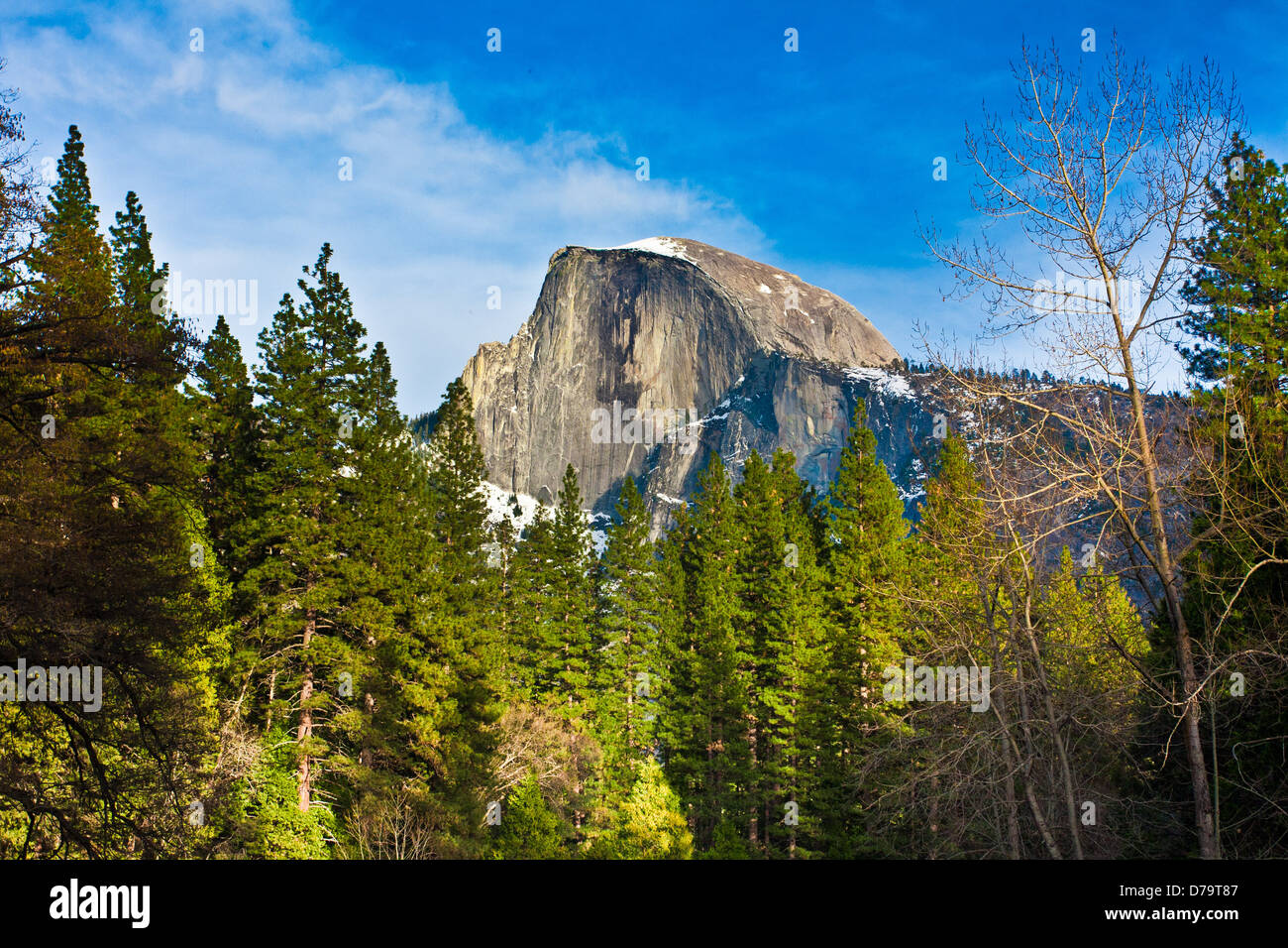 Half Dome Rock , il punto di riferimento del Parco Nazionale di Yosemite in California Foto Stock