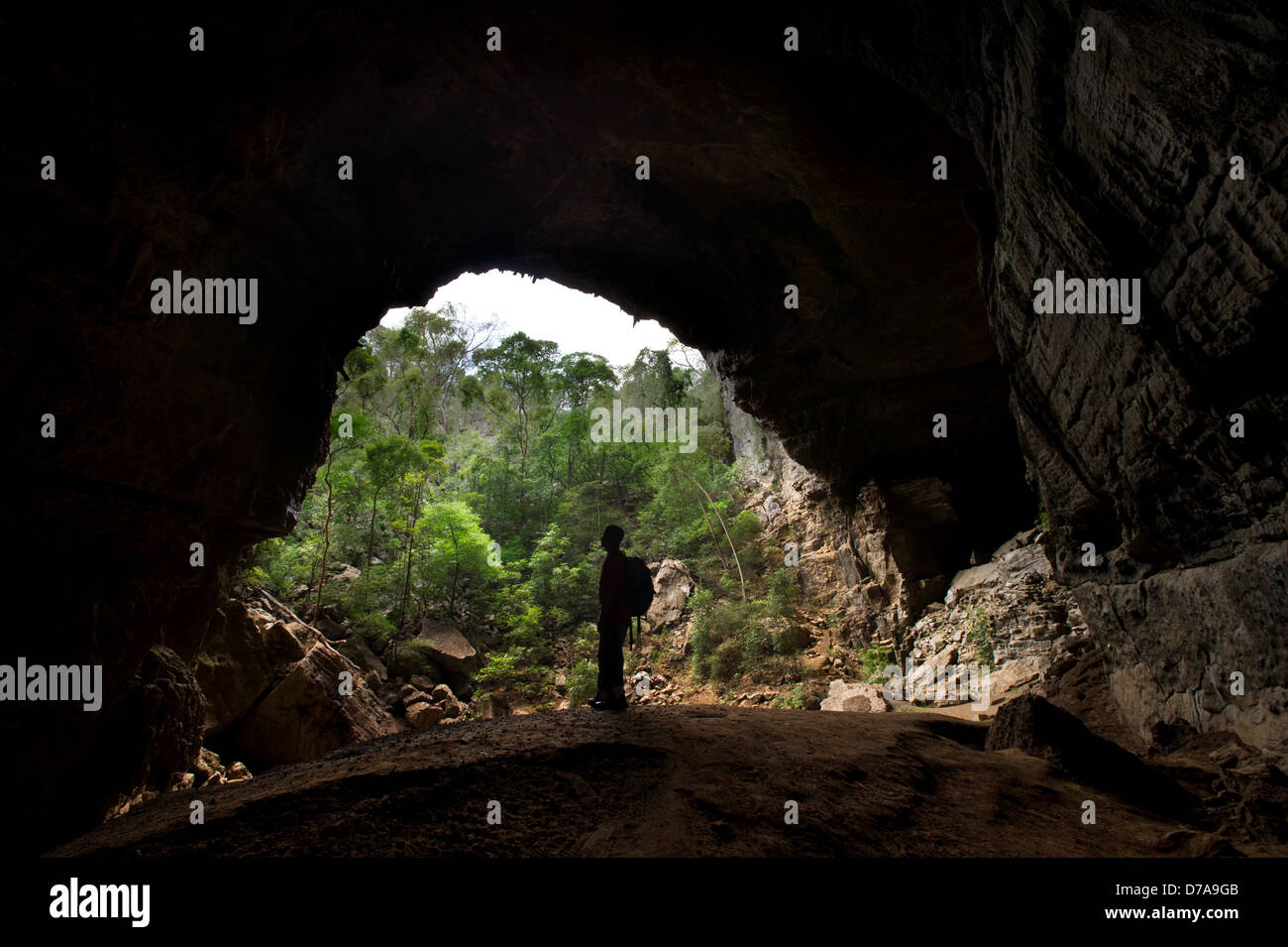 Turismo a piedi l'ingresso alla grotta grande Ankarana Parco nazionale del Madagascar Foto Stock