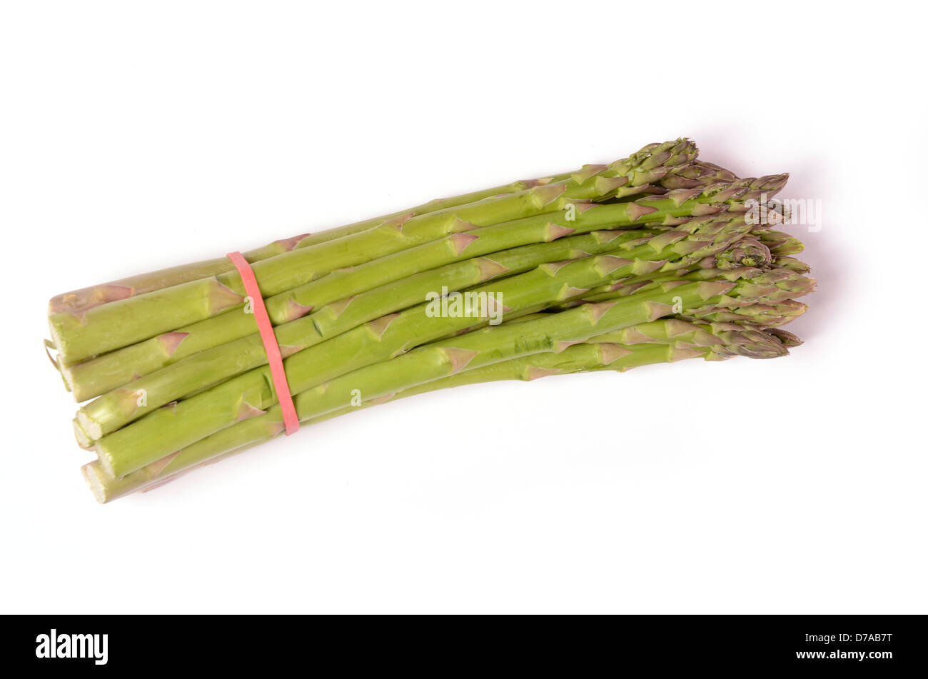 Gli asparagi verdi su sfondo bianco Foto Stock