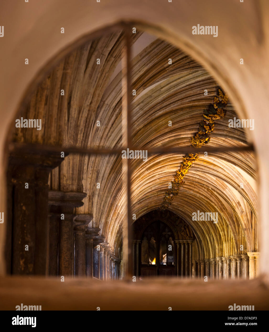 Dettaglio Chiostri Norwich Cathedral Foto Stock