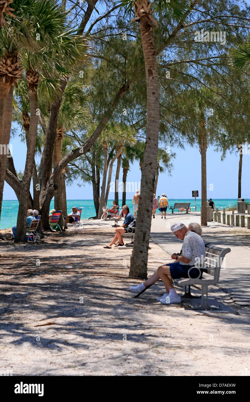 Le persone anziane godendo la scena sulla spiaggia mentre l'ombra sotto gli alberi al Coquina beach Bradenton FL Foto Stock