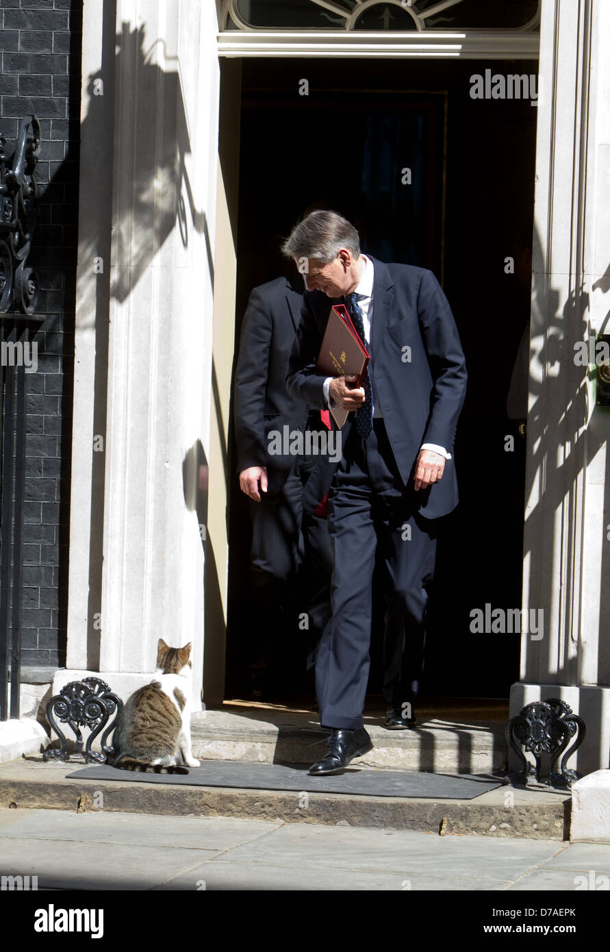 Philip Hammond,segretario alla difesa,leavesthe riunione del gabinetto oltrepassando Larry di Downing Street Cat Foto Stock