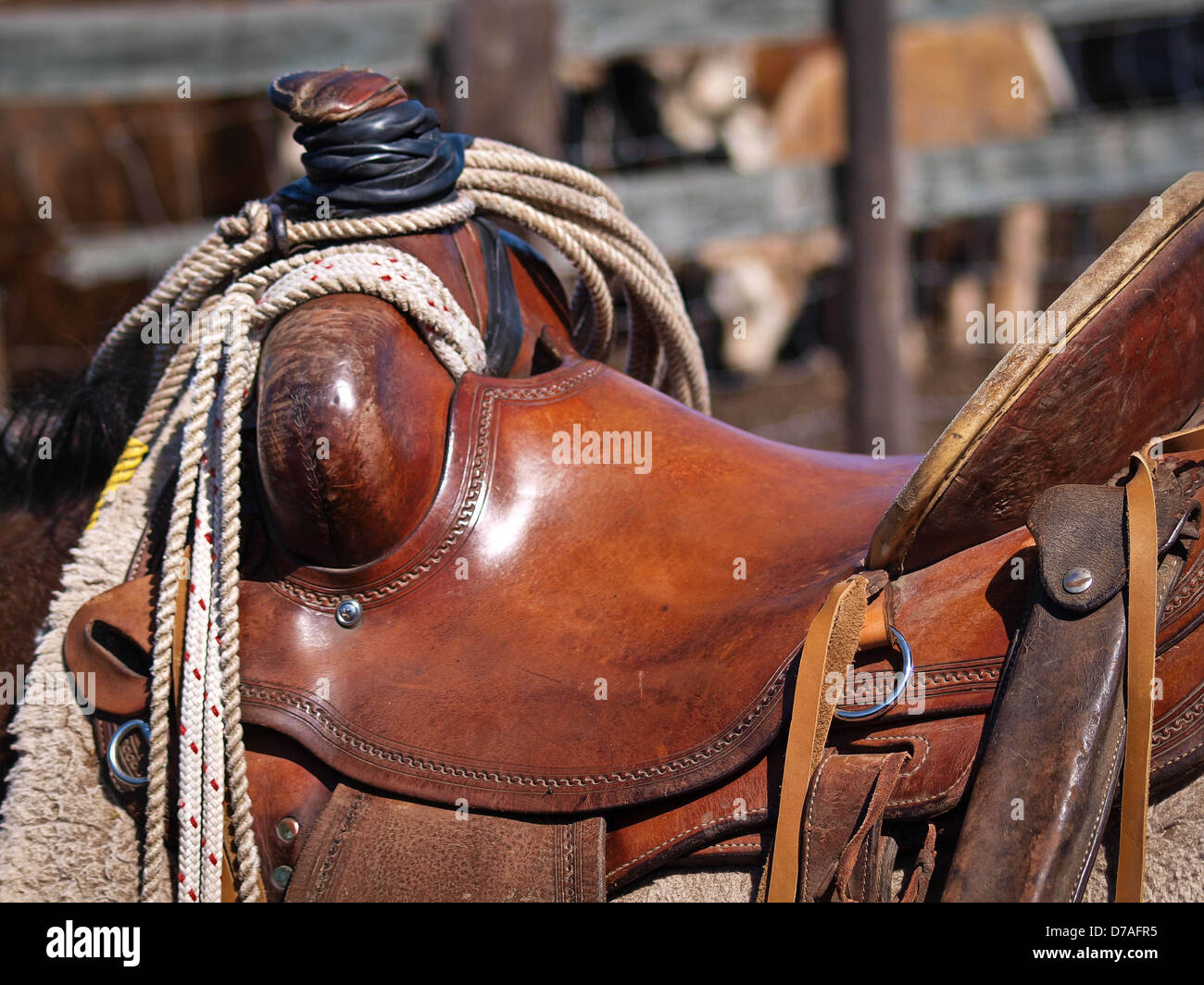 Lavorando cowboy in sella in cuoio e corda. Foto Stock Lavorando cowboy in sella in cuoio e corda. Foto Stock