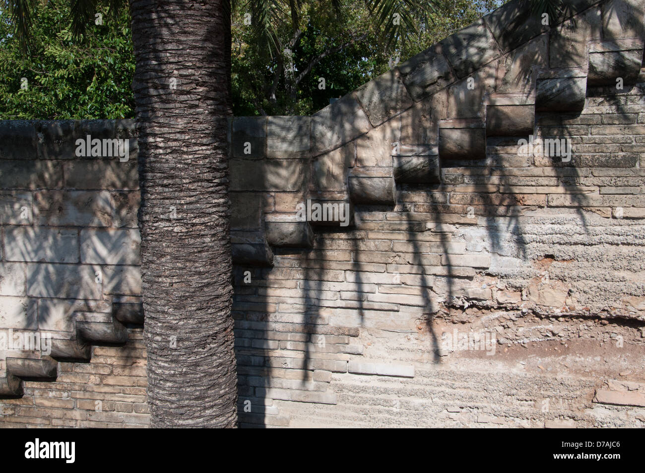 Dettaglio di un vecchio muro in Palma de Mallorca con palm ombre. Foto Stock