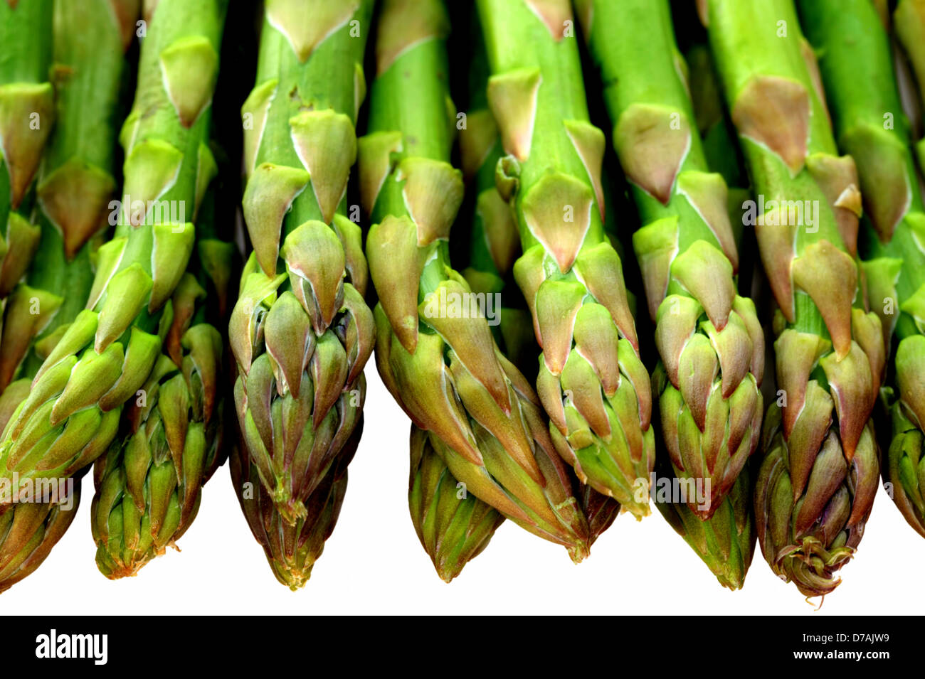 Freschi di punte di asparagi verdi isolati su bianco. Foto Stock