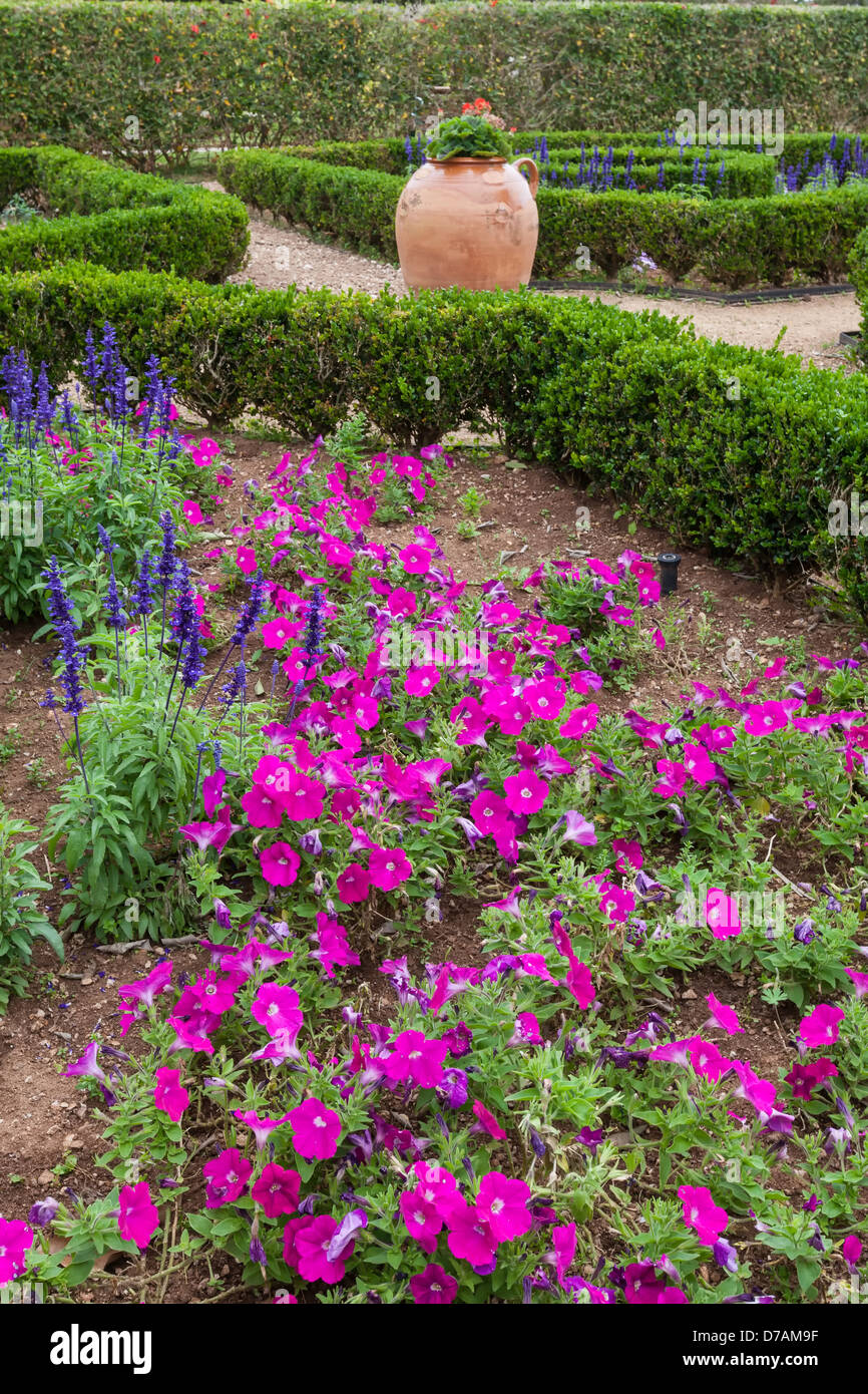 Grandi le piantatrici di argilla e agganciata siepi di bosso sono parte di giardini formali in Bermuda Giardini Botanici. Foto Stock