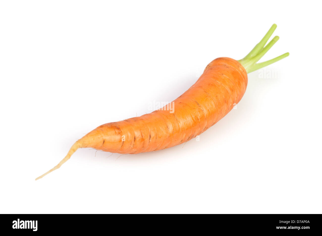 La carota uno su sfondo bianco Foto Stock