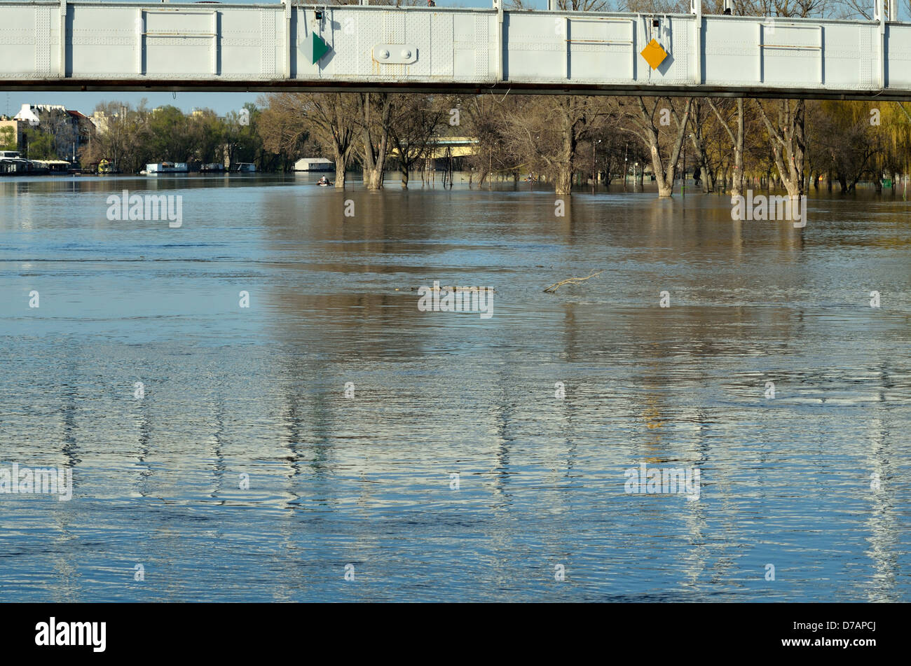 Alberi in acqua di inondazione del Fiume Tisza in alto a destra è il territorio di Camping sommerse da Tisza Foto Stock