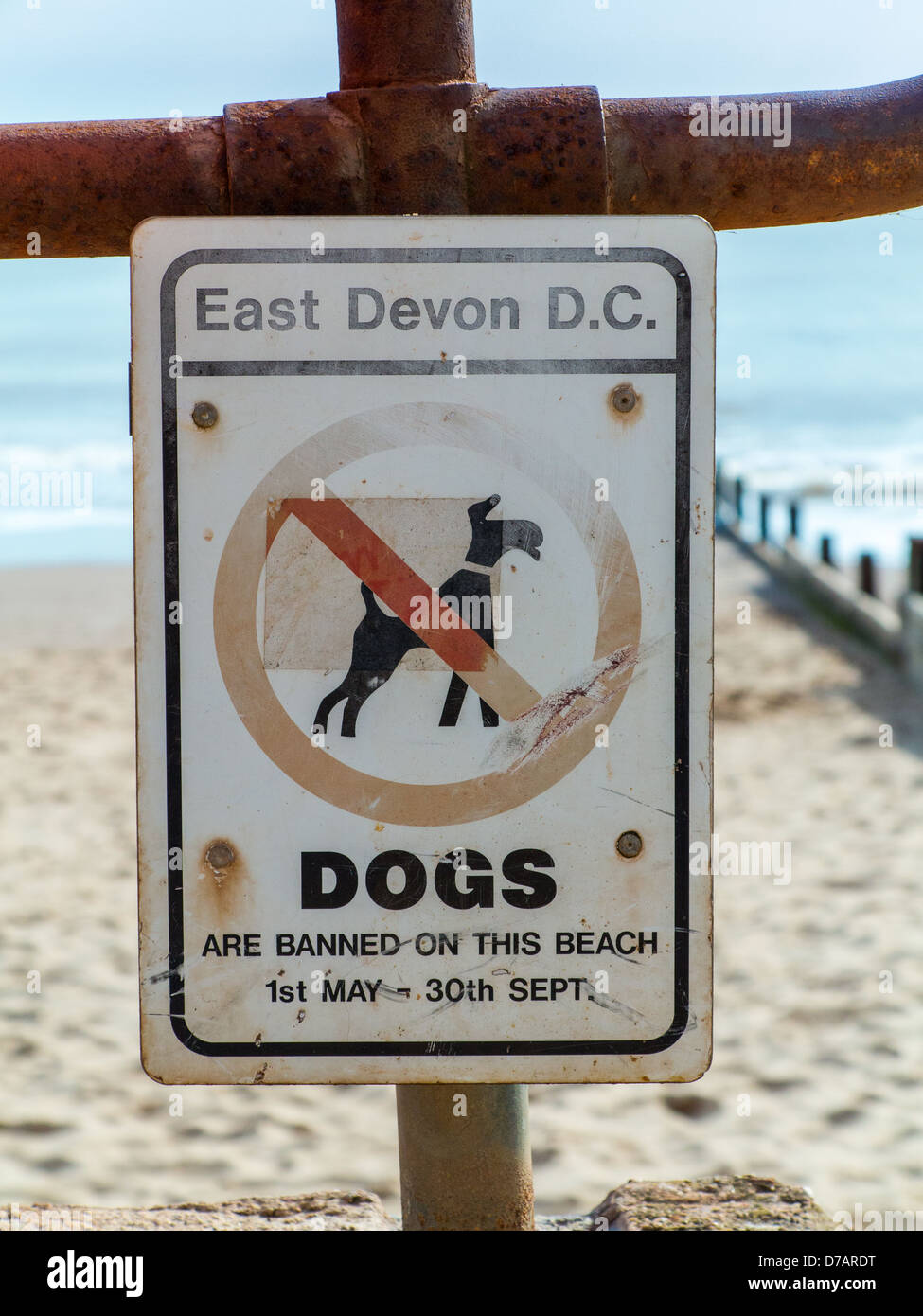 Cani vietati da questa spiaggia segno che Mostra date in Exmouth beach, Devon, Inghilterra Foto Stock