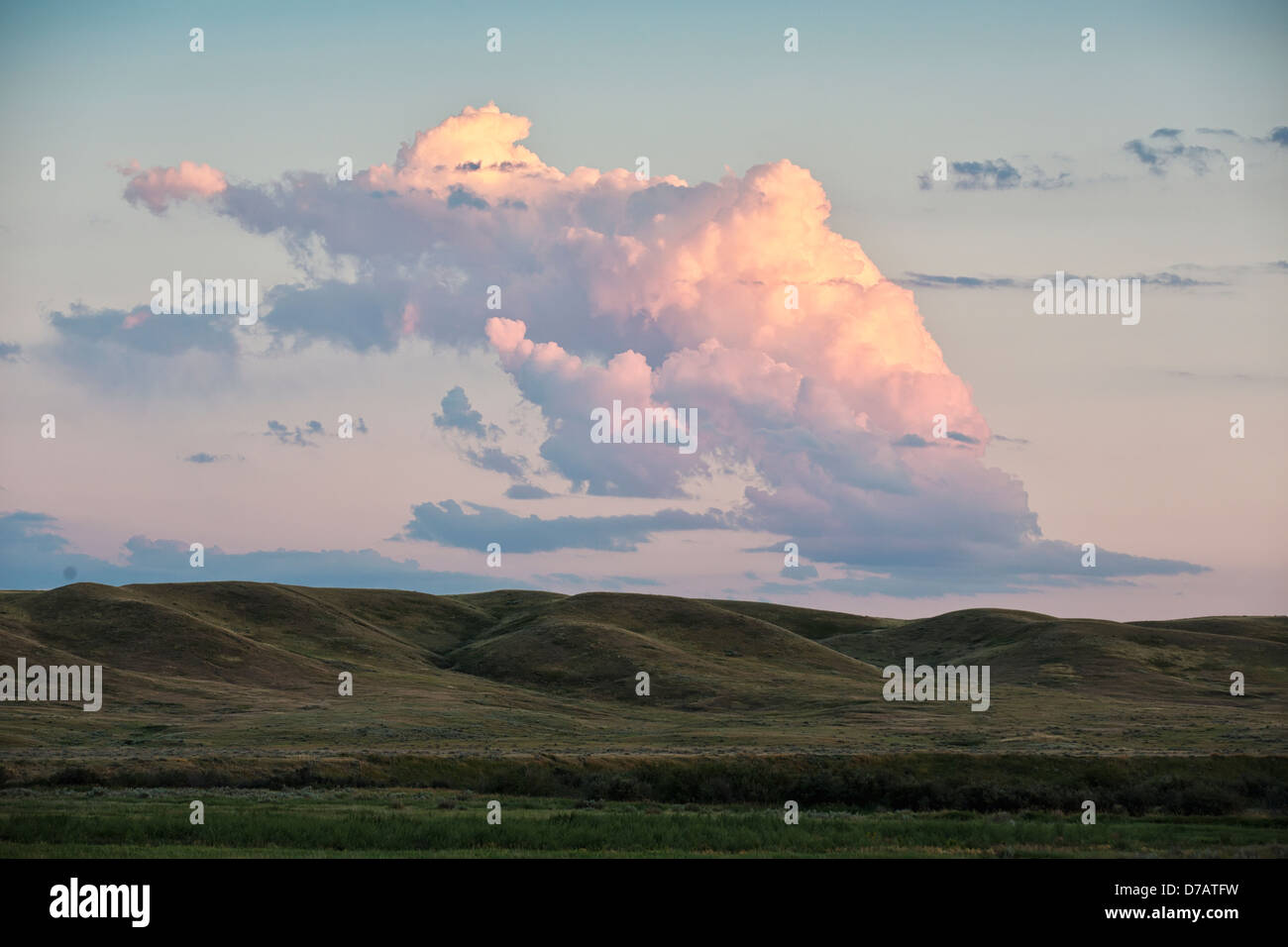 Piccolo Cumulonimbus Cloud su praterie Parco Nazionale;Saskatchewan Canada Foto Stock