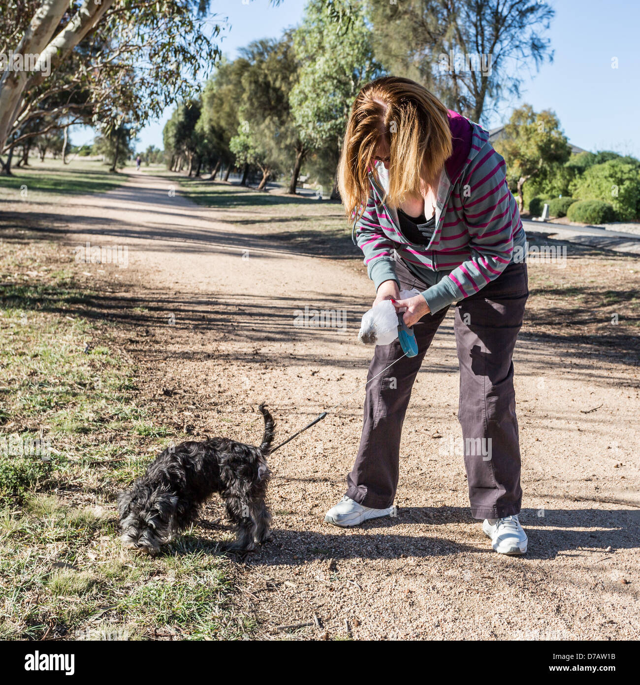 Responsabilità proprietario del cane la pulizia di escrementi di cane Foto Stock