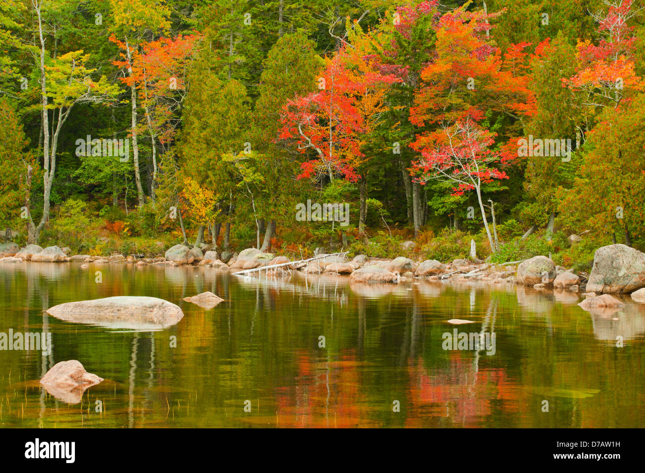 Caduta delle Foglie a Jordan Pond, Parco Nazionale di Acadia, Maine, Stati Uniti d'America Foto Stock
