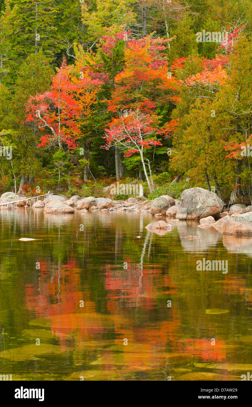 Caduta delle Foglie a Jordan Pond, Parco Nazionale di Acadia, Maine, Stati Uniti d'America Foto Stock