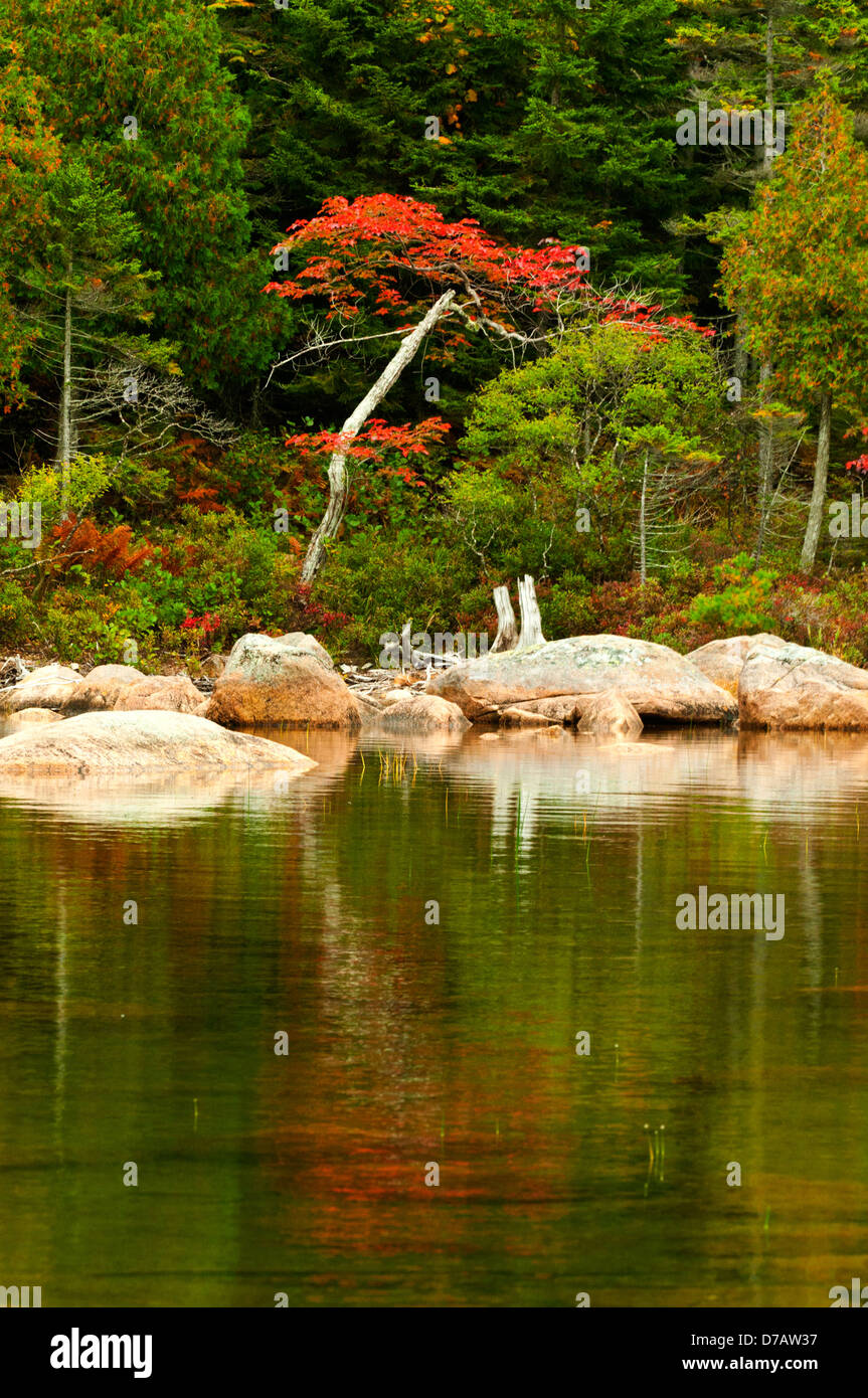 Caduta delle Foglie a Jordan Pond, Parco Nazionale di Acadia, Maine, Stati Uniti d'America Foto Stock