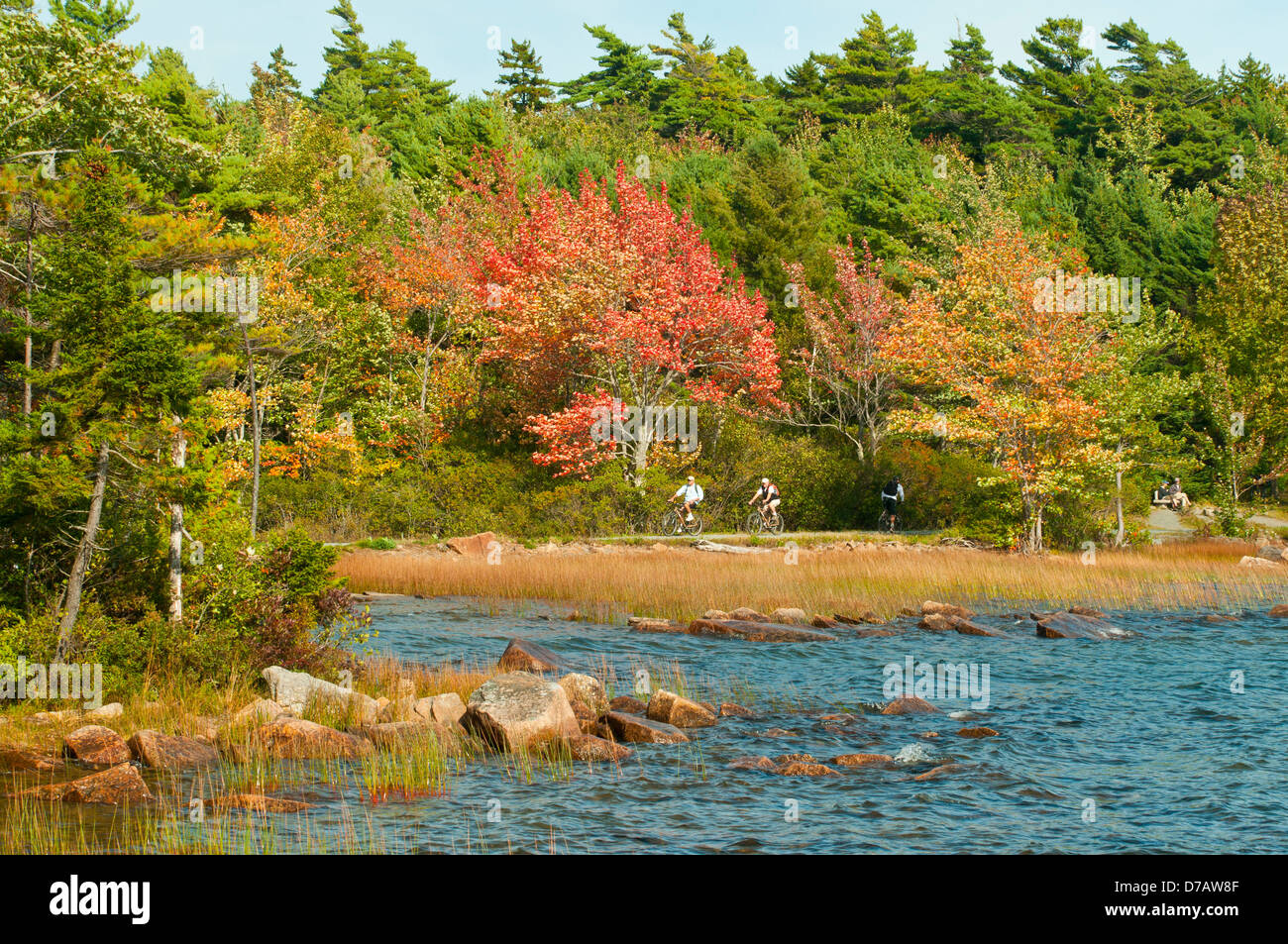 Eagle Lake, Acadia NP, Maine, Stati Uniti d'America Foto Stock