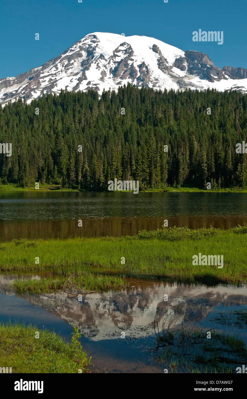 Mt Rainier e Lago di riflessione, Mt Rainier NP, Washington, Stati Uniti d'America Foto Stock
