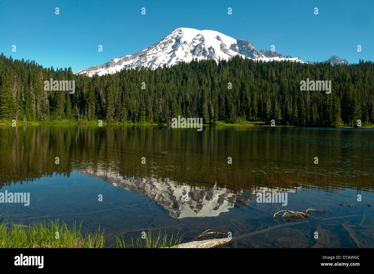 Mt Rainier e Lago di riflessione, Mt Rainier NP, Washington, Stati Uniti d'America Foto Stock