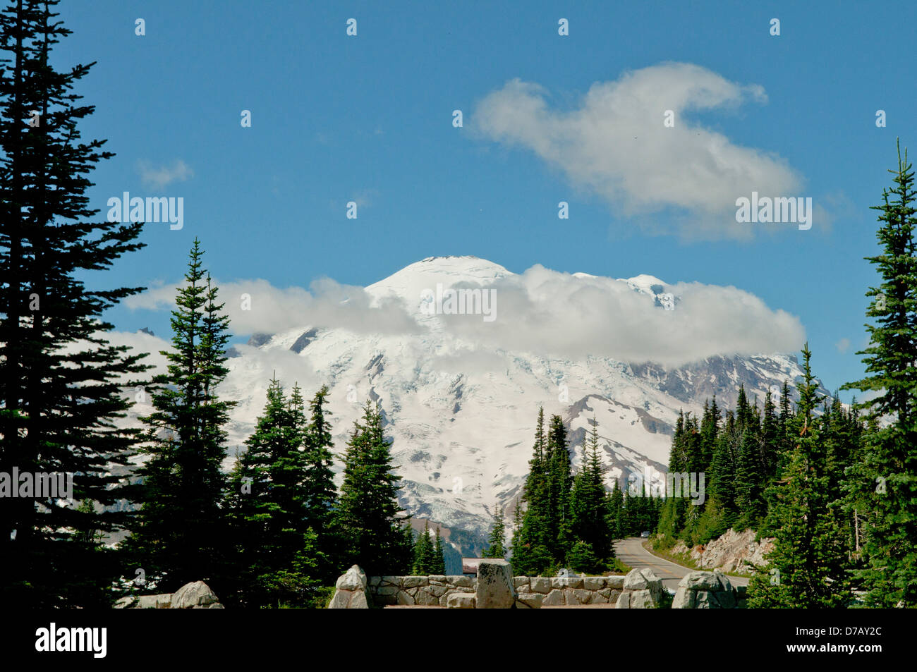 Mt Rainier, Washington, Stati Uniti d'America Foto Stock