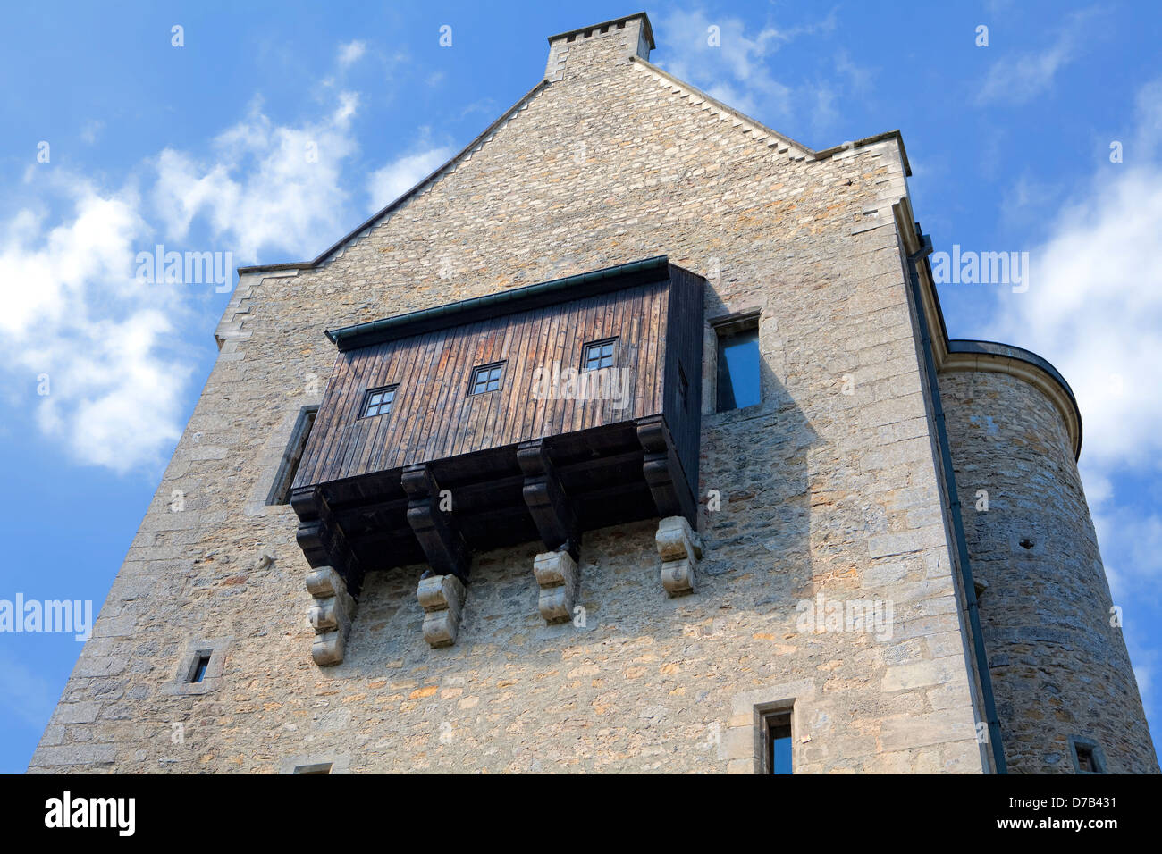 Burg Fels o campi Castello, Larochette, XI secolo, Granducato del Lussemburgo, Europa Foto Stock