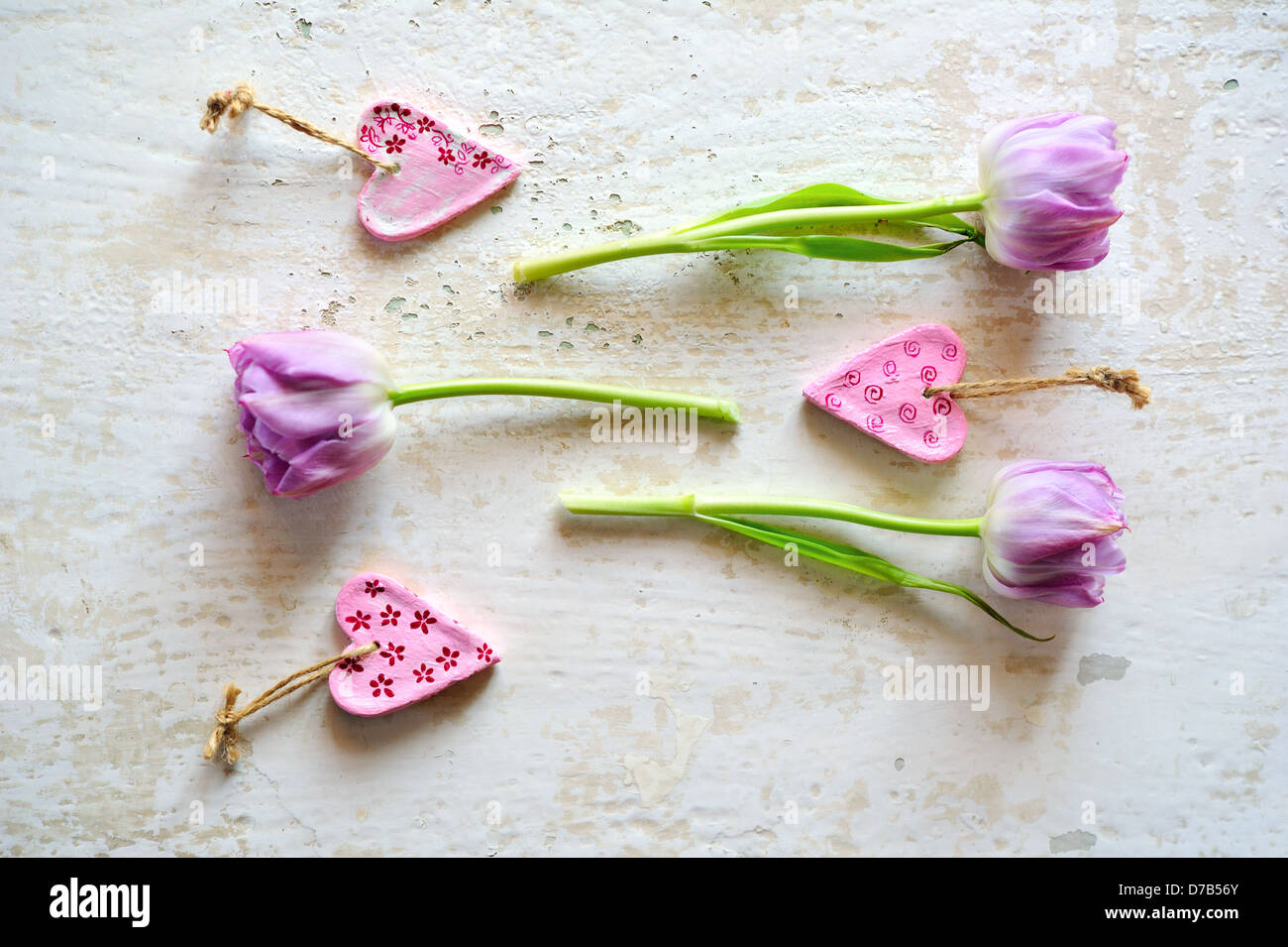 Viola i tulipani su un vecchio sfondo di legno Foto Stock