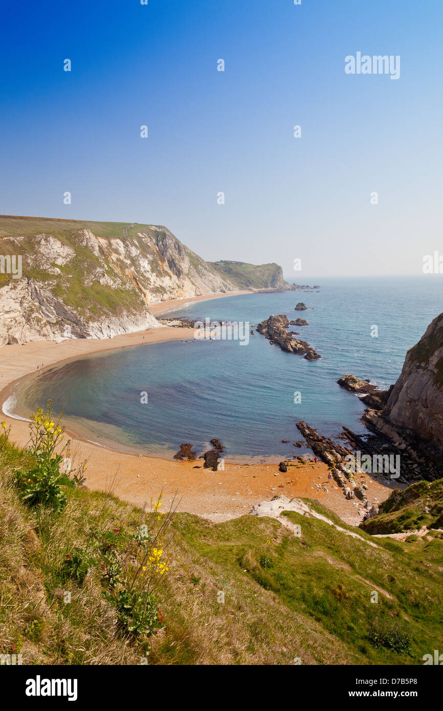 Uomo O'guerra Bay (St Oswald's Bay) a sud ovest della Costa Herittage percorso nei pressi di porta di Durdle, Dorset, England, Regno Unito Foto Stock