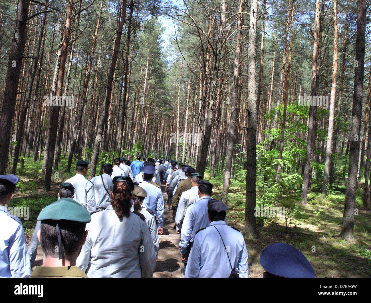 Bandiere israeliane di cui Lopochova Forest Polonia In memoria degli ebrei uccisi Tykocin noto massacro Foto Stock