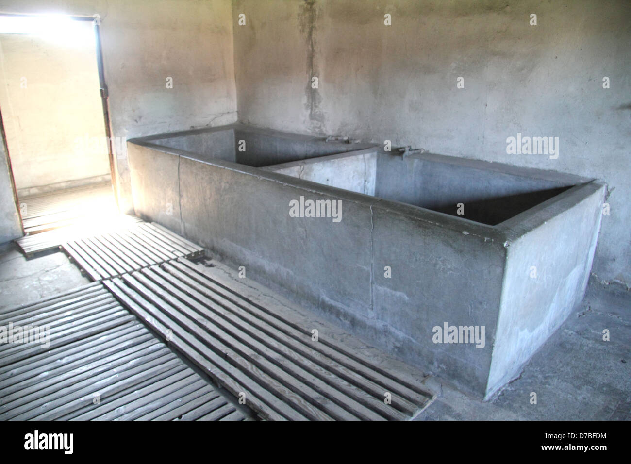 Calcestruzzo vasche da bagno a 'bagno e disinfezione' Barrack 41 nella morte di Majdanek camp vicino a Lublino in Polonia Foto Stock