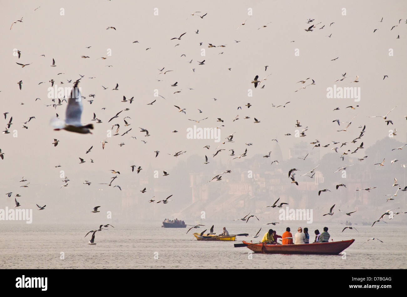 VARANASI, India - 29 gennaio: uccelli volare sopra il fiume Gange il 29 gennaio 2013 a Varanasi. Foto Stock