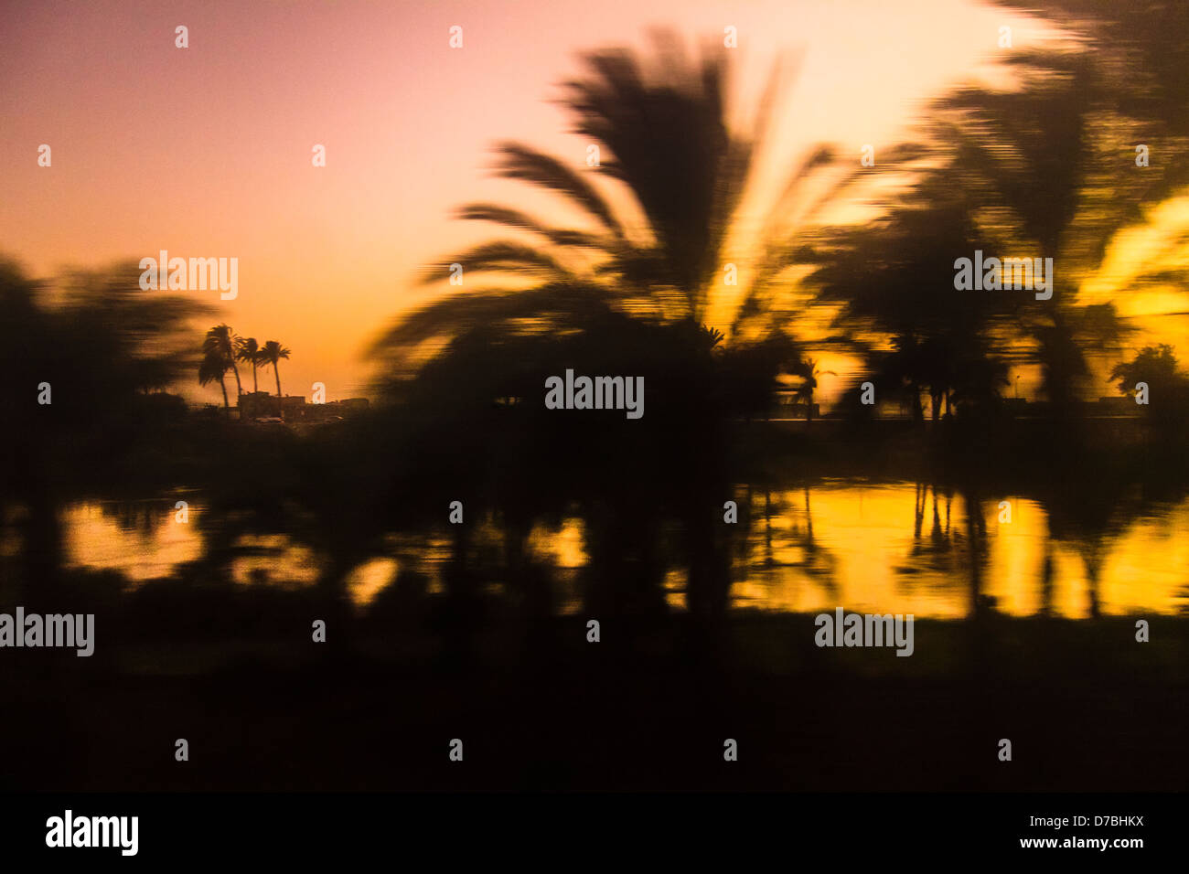 Silhouette astratta di Palm grove dal fiume Nilo al tramonto in ritardo preso da un treno in movimento. Egitto Foto Stock