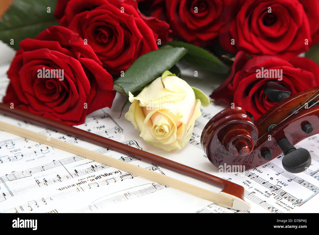 Rosso e rose bianche su un foglio con delle note Foto Stock