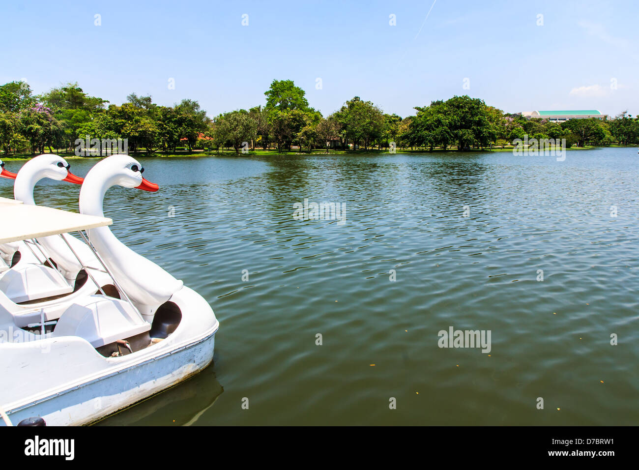 Swan pedalò con il blu dell'acqua in Rama 9 Park, Bangkok. Della Thailandia Foto Stock