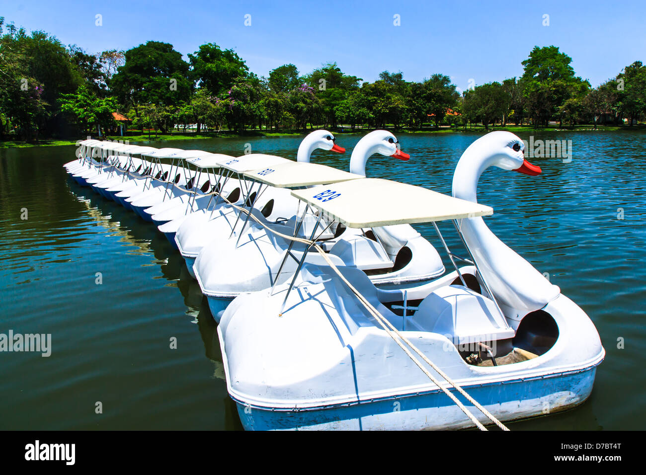 La linea di swan pedale barca in Rama 9 Park, Bangkok. Foto Stock