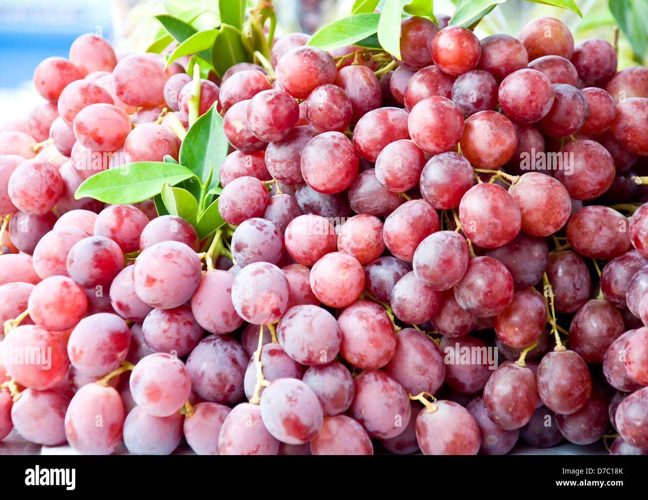 Uva rossa per il mangiare sano Foto Stock