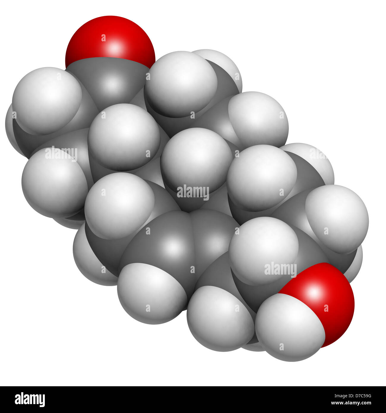 Deidroepiandrosterone (DHEA, prasterone) molecola dello steroide, struttura chimica. Gli atomi sono rappresentati come sfere Foto Stock