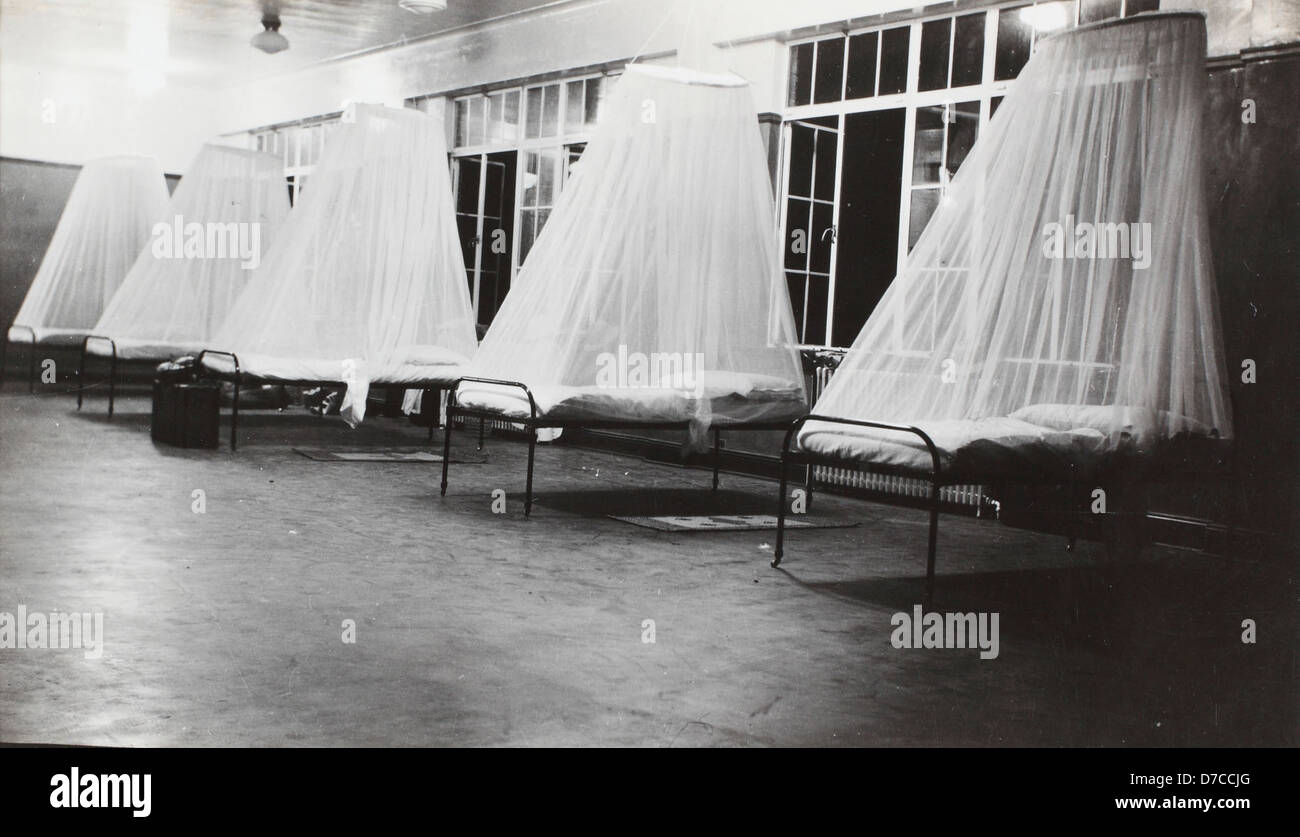 Questa foto mostra cinque letti, ciascuno coperto da zanzariere, utilizzati in ambienti tropicali per proteggere contro le malattie trasmesse dalle zanzare. La zanzariera è essenziale per prevenire la malaria e altre infezioni nelle zone con un'elevata popolazione di zanzare. Foto Stock