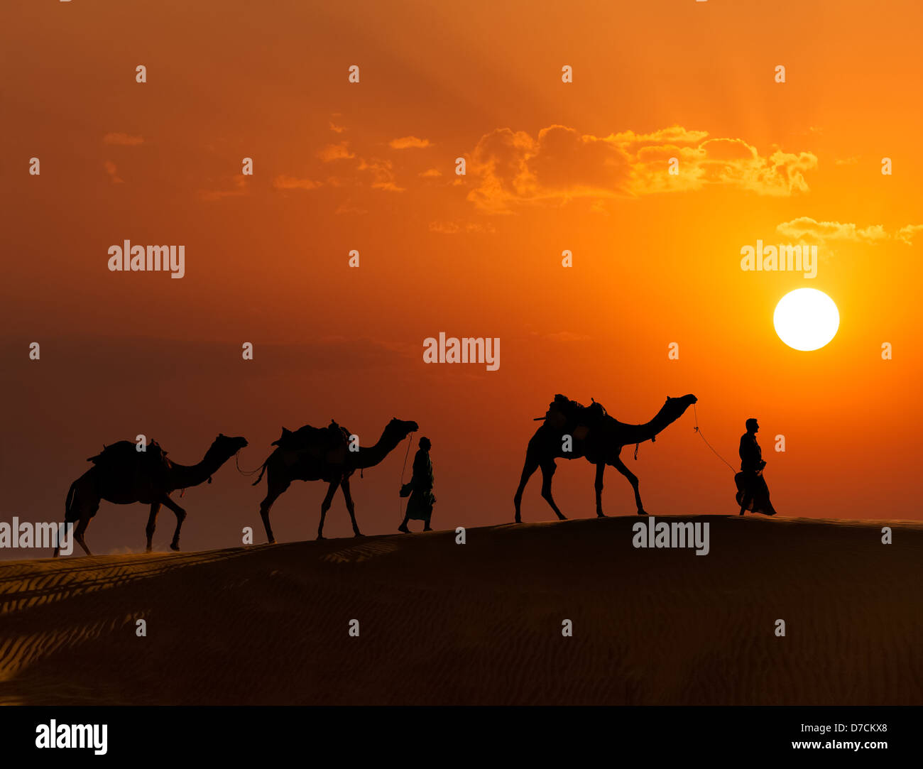 Rajasthan travel background - due indiani cameleers (camel driver) con i cammelli sagome in dune del deserto di Thar su sunset Foto Stock