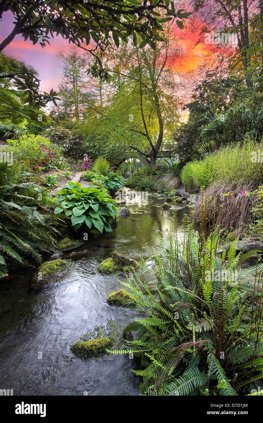 Flusso che scorre sotto il ponte di legno degli archi con felci Hosta e piante di palude a Crystal Springs Rhododendron giardino al tramonto Foto Stock