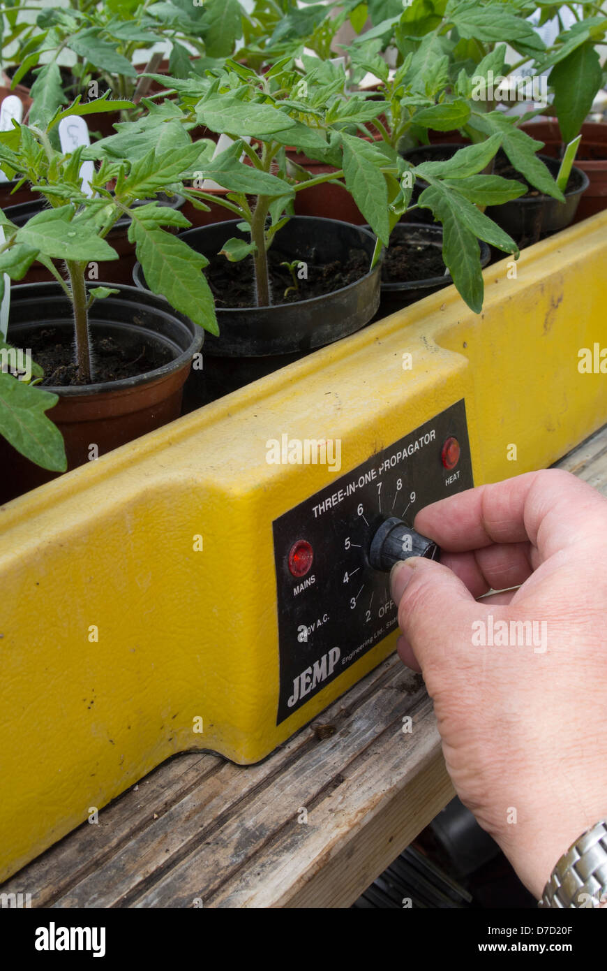 Giardiniere termostato di regolazione su un propagatore elettrico Foto Stock