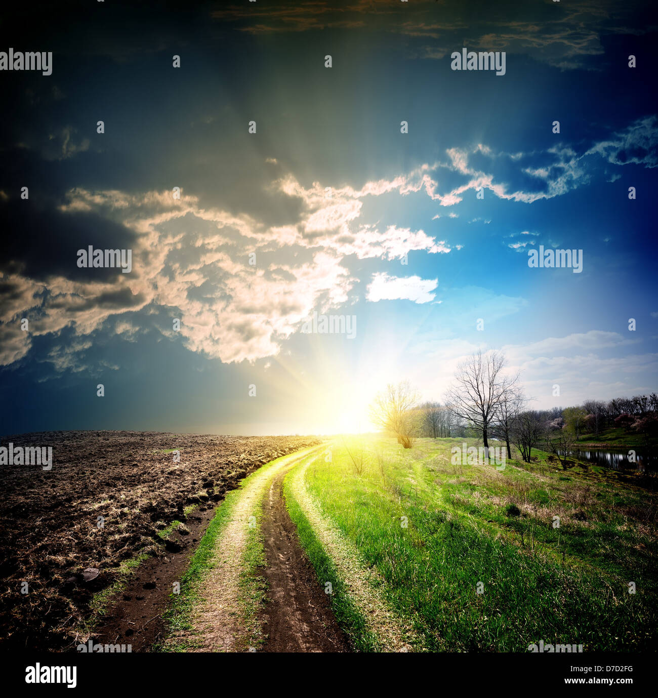 Country Road scomparendo in lontananza al sole Foto Stock