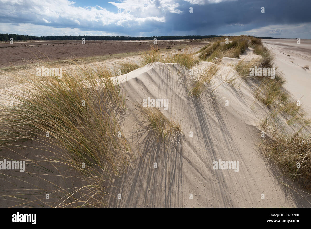 Soffiata dal vento dune di sabbia con cielo tempestoso, Foto Stock