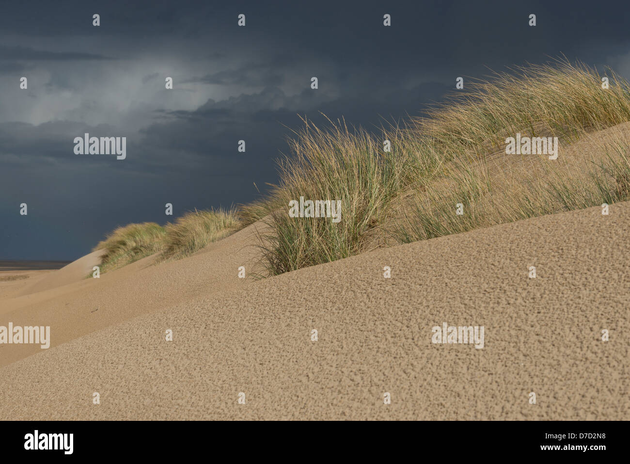 Soffiata dal vento dune di sabbia con cielo tempestoso, Foto Stock