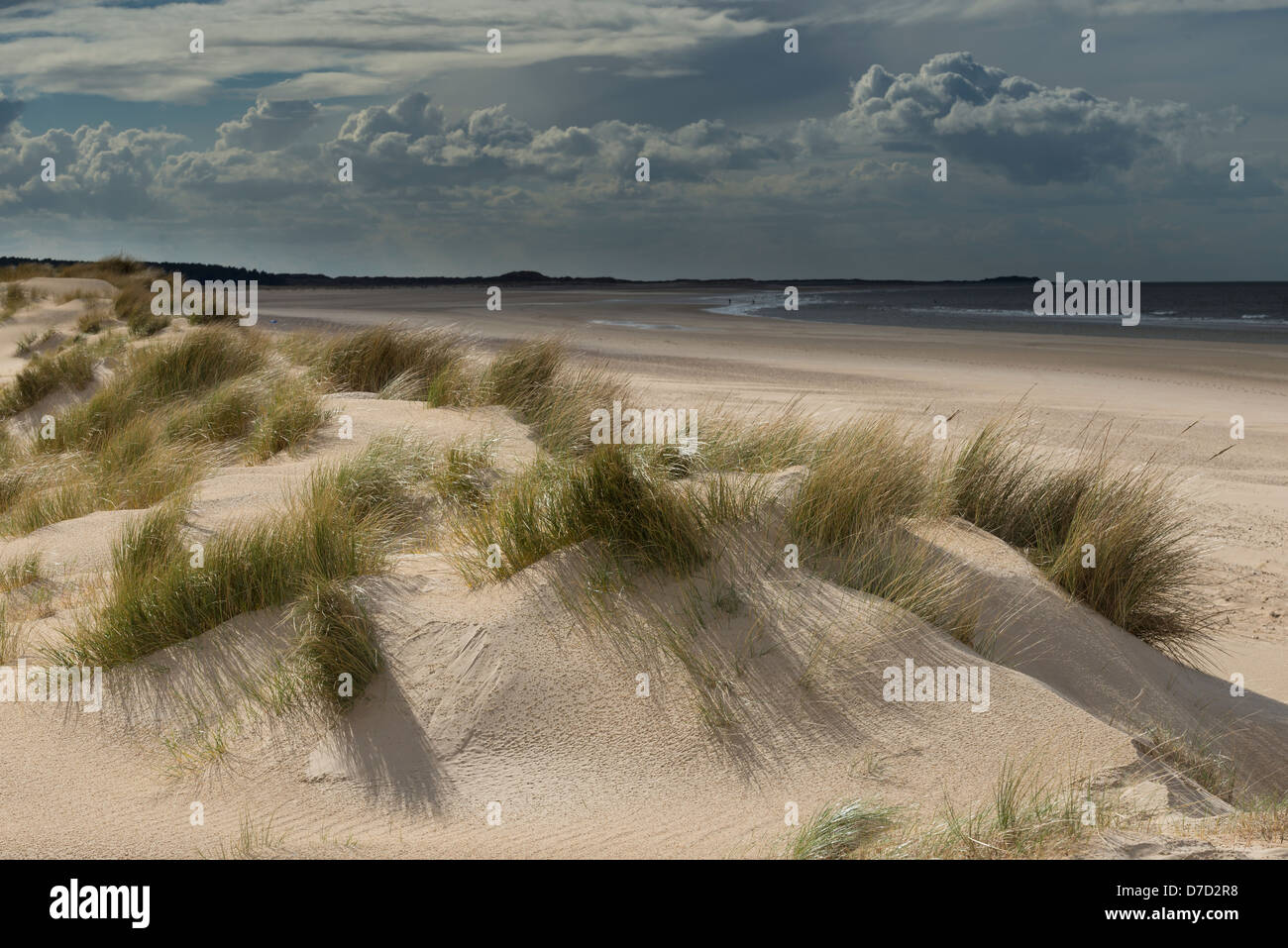 Soffiata dal vento dune di sabbia con cielo tempestoso, Foto Stock