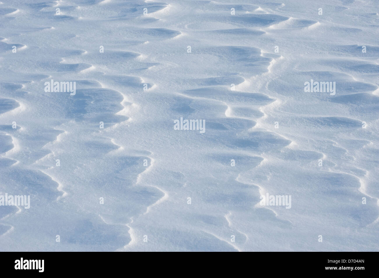 Modelli su wind-pilotato snow cattura la luce del sole in una fredda giornata invernale e. Foto Stock