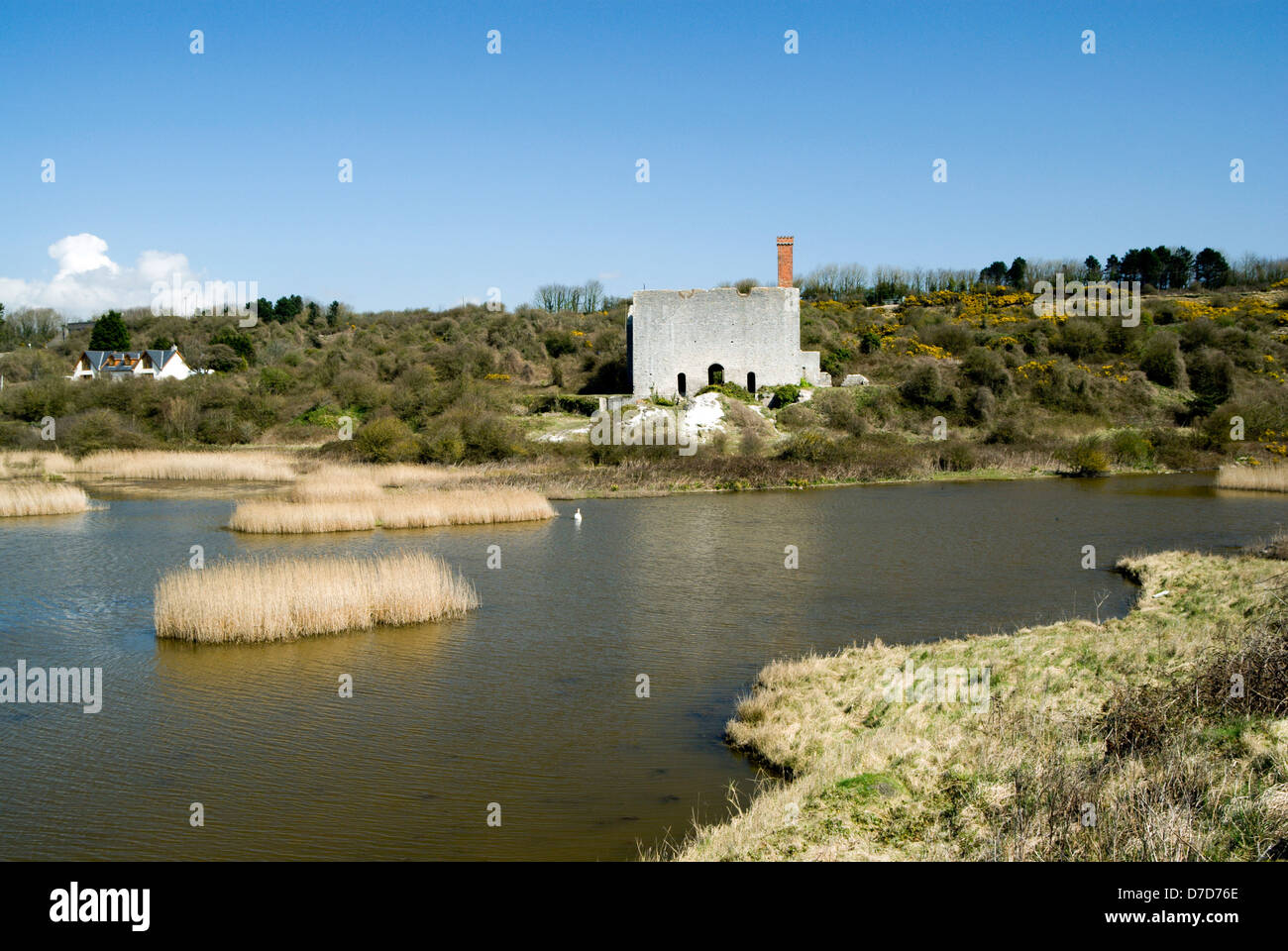 Il lago e la vecchia limeworks aberthaw saltmarsh riserva Vale of Glamorgan South wales uk Foto Stock