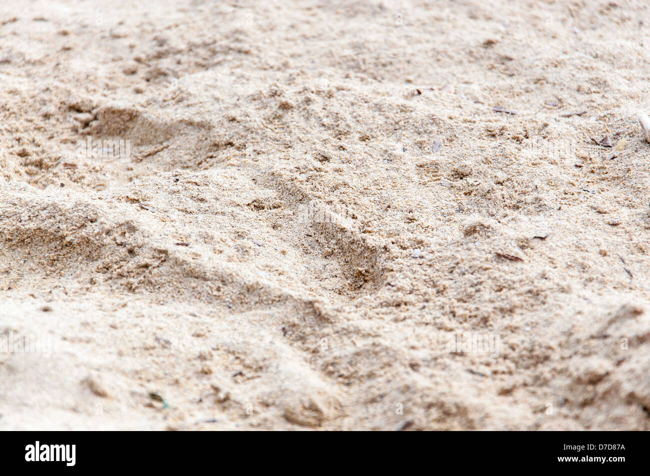 Gocce di pioggia sulla sabbia asciutta Foto Stock